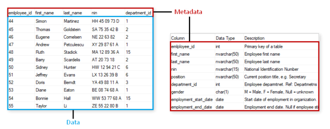 metadata-in-dbms-overview-and-types